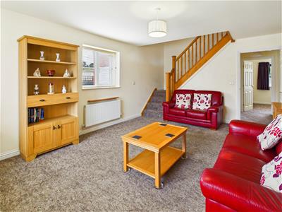 Picture 17